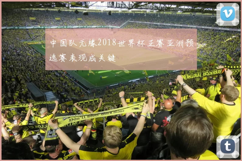 中国队无缘2018世界杯正赛亚洲预选赛表现成关键