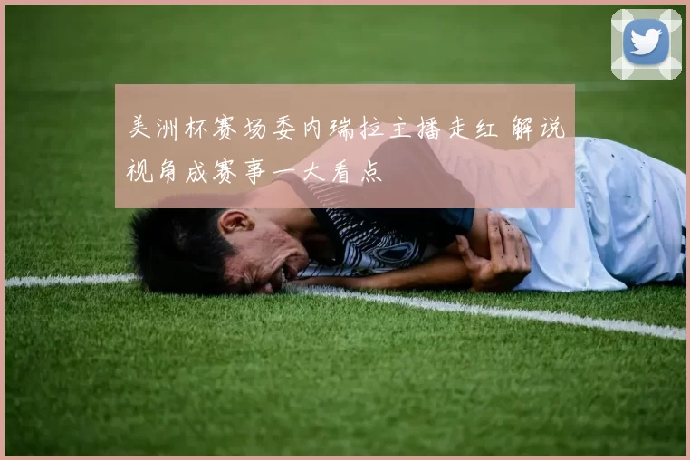 美洲杯赛场委内瑞拉主播走红 解说视角成赛事一大看点