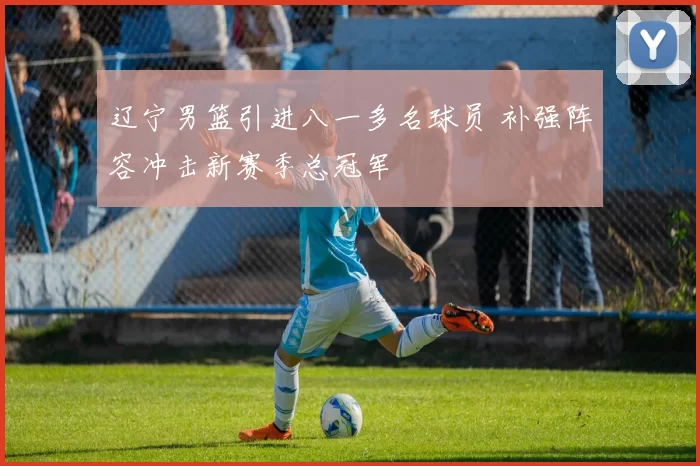 辽宁男篮引进八一多名球员 补强阵容冲击新赛季总冠军