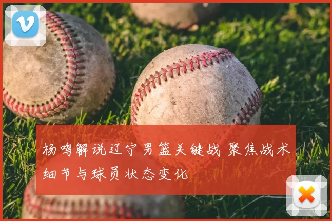 杨鸣解说辽宁男篮关键战 聚焦战术细节与球员状态变化